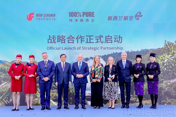 图片31