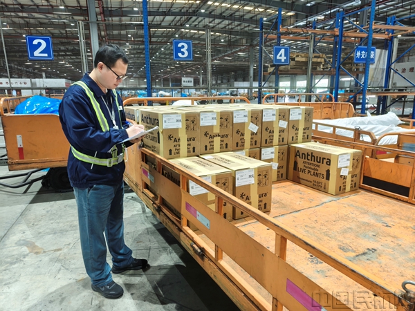 东航物流西南分公司工作人员保障南博会展品运输-东航物流供图1