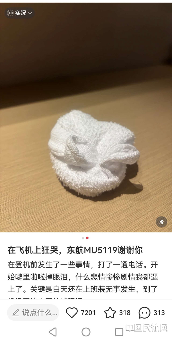 空乘为安慰旅客叠的小兔子12
