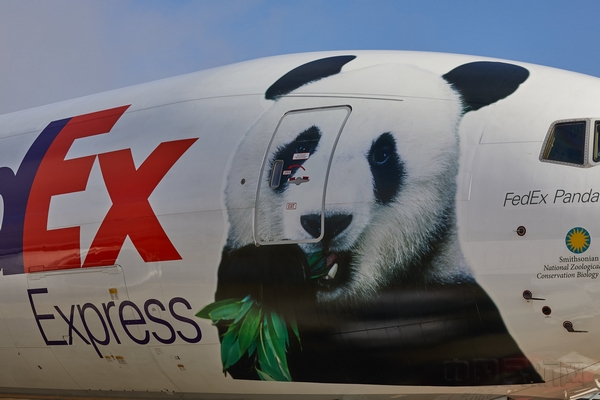 “FedEx熊猫快递号”777专机2.jpg “FedEx熊猫快递号”777专机2.jpg