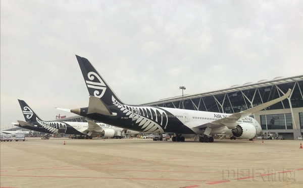 浦东机场的新西兰航空班机-新西兰航空供图.jpg