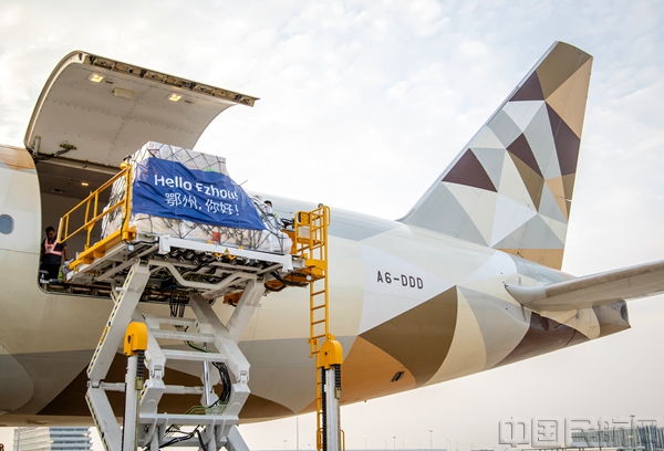 微信图片_202308181618292