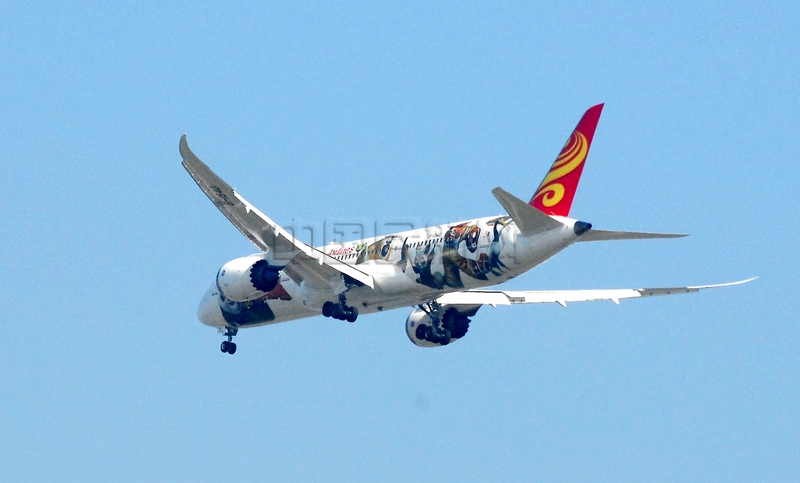 功夫熊猫飞机（赵晓兵拍摄）