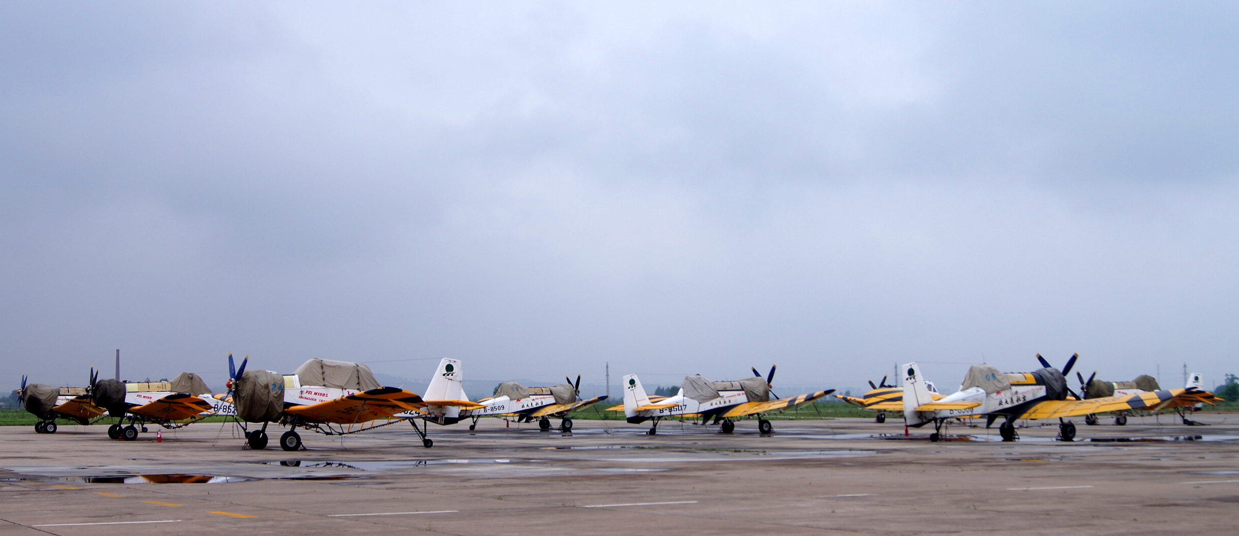 2013年6月5日，北大荒通用航空公司的M18机群（赵晓兵拍摄）