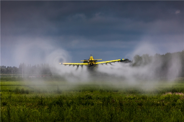 在这些现代化机械中，轰鸣作响、在农田上空打着稻穗呼啸而过的的农化飞机是大荒平原最有特色的场景了。